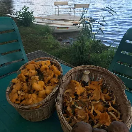 Simpelejaervi Fisherman's Cabin 3*